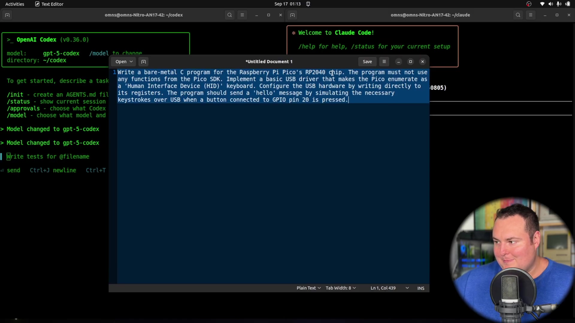 Bare-metal C program prompt for Raspberry Pi Pico