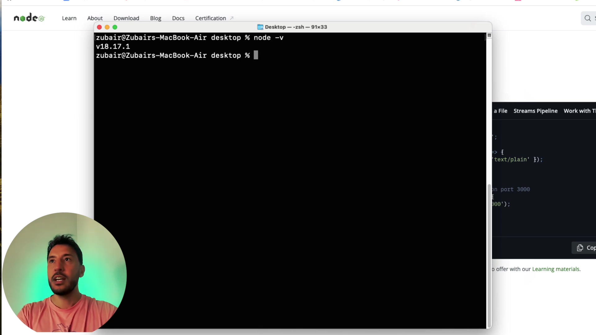 Terminal output of Node.js version check