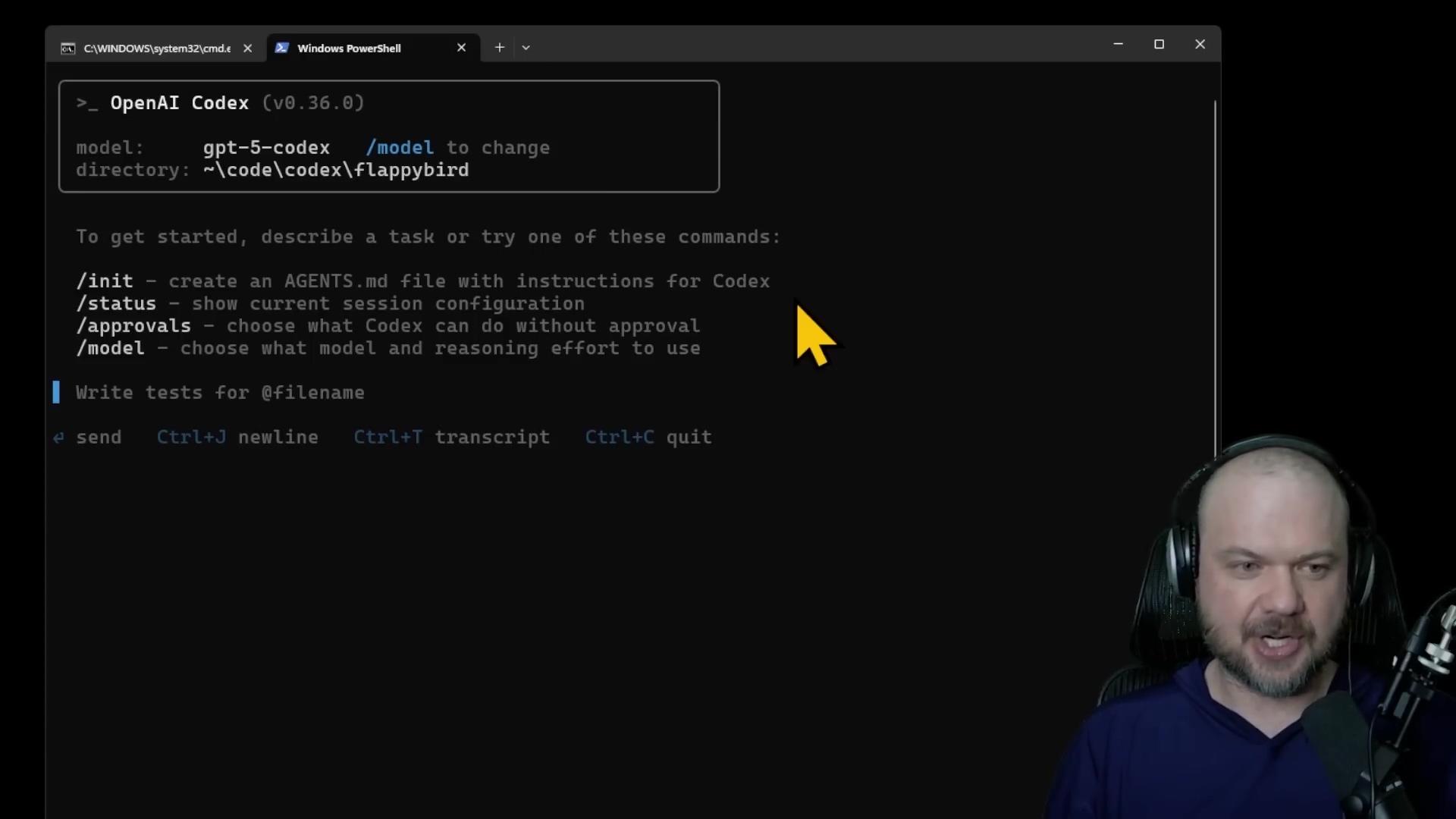 Windows PowerShell with OpenAI Codex CLI